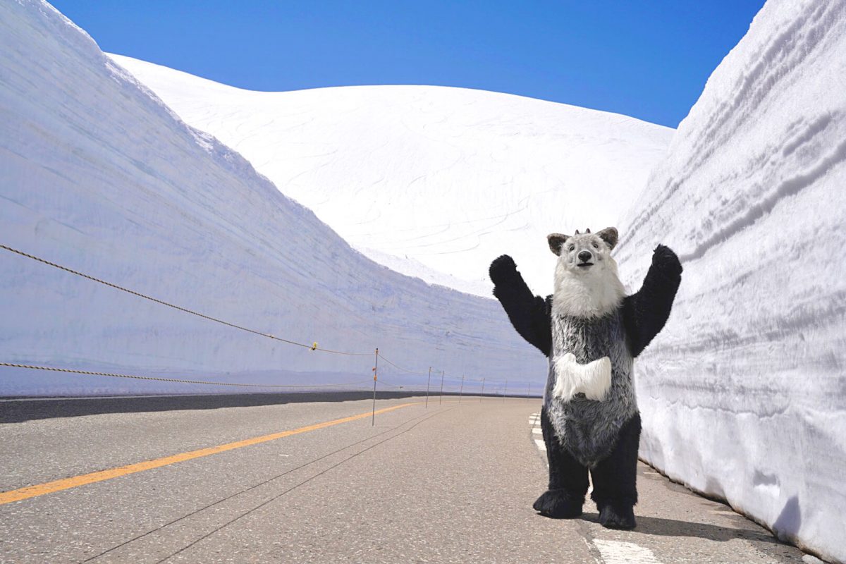 【富山県立山町 室堂にて】雪の大谷を見てきたちゃ！