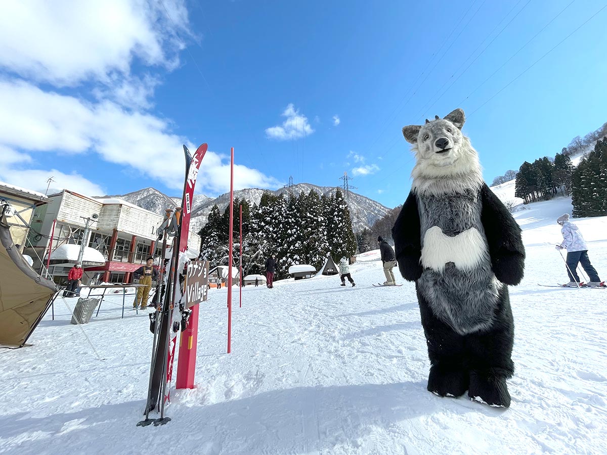 【営業開始】宇奈月温泉スキー場がオープンするよ