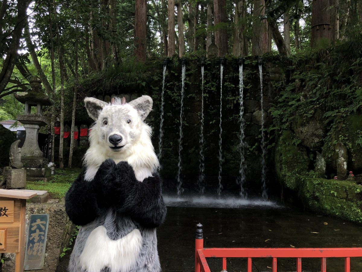 【修行体験】大岩山日石寺で滝行してきたよ‼